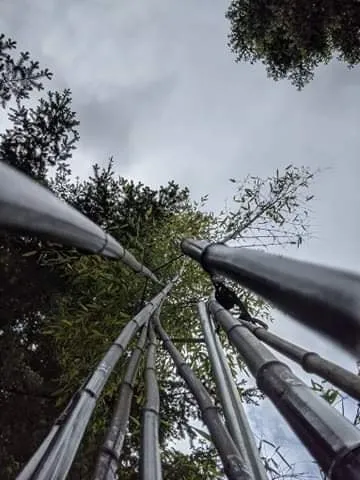 Custom garden landscaping for residential properties in Shelton, WA by Outdoors By Design