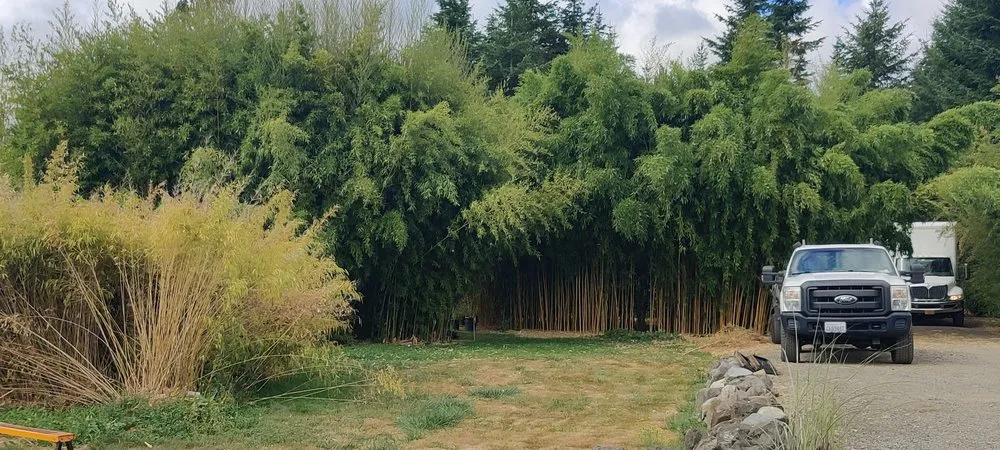 Custom garden landscaping in Shelton, WA - Outdoors By Design