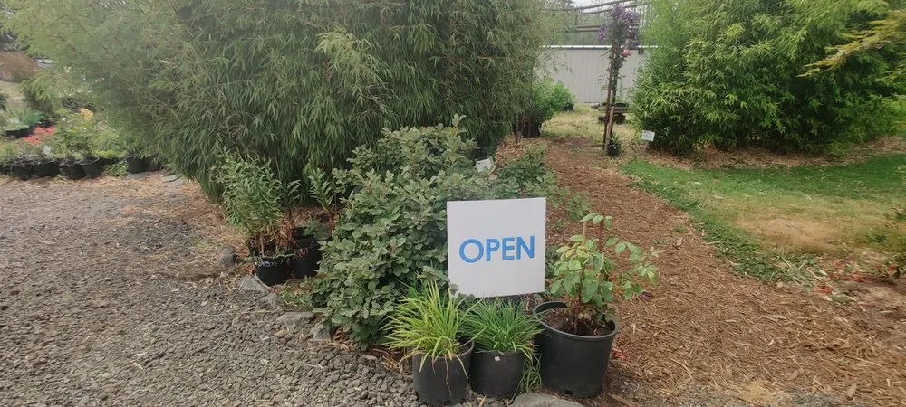 Professional outdoor landscaping in Shelton, WA by Outdoors By Design