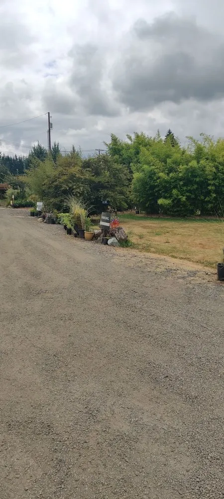 Professional residential landscaping in Shelton, WA by Outdoors By Design