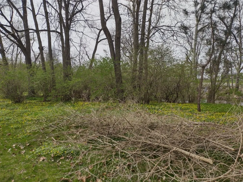 Expert landscape design for beautiful yards in Saint Marys, OH by Outdoors With Us Lawn Care Services