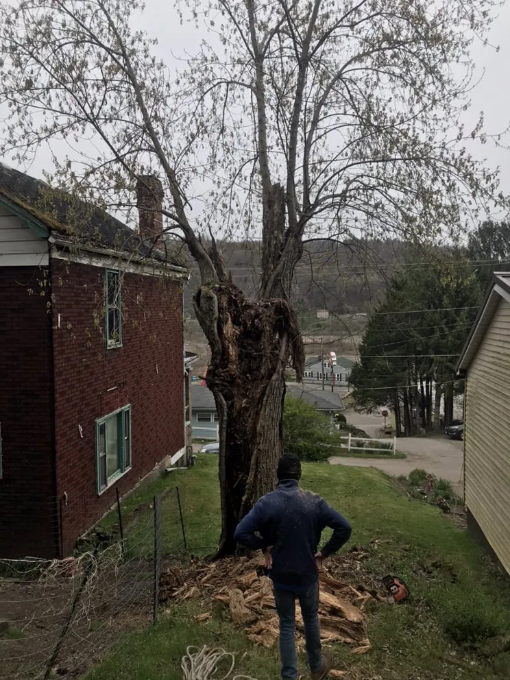 Reliable outdoor landscaping in Martins Ferry, OH by Outer Branches