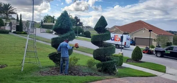 Outer Limits Lawn Maintenance