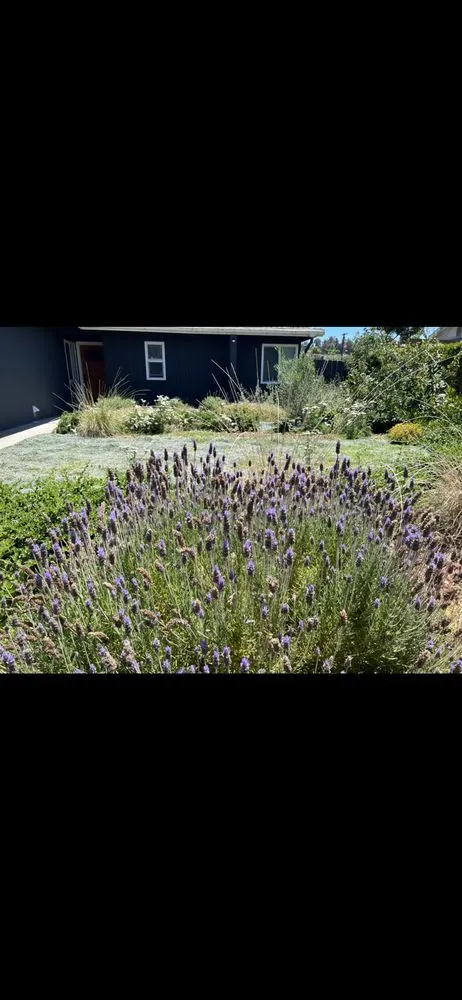 Local landscaping services in Oceanside, CA - Outer Spaces Landscape