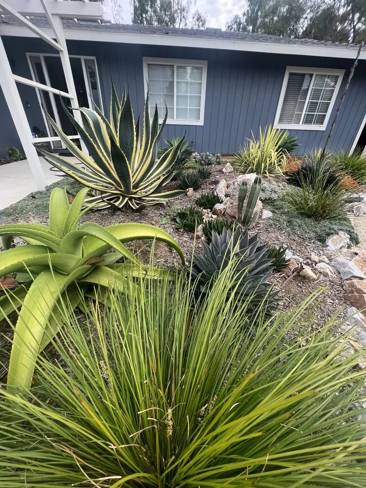 Expert garden landscaping experts serving Oceanside, CA - Outer Spaces Landscape