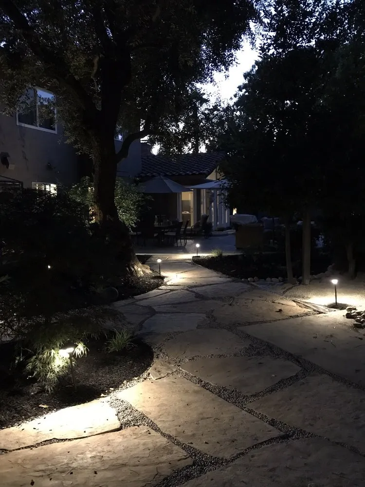 Local yard cleanup service for year-round maintenance in Pleasanton, CA by Outer Visions Landscape Design