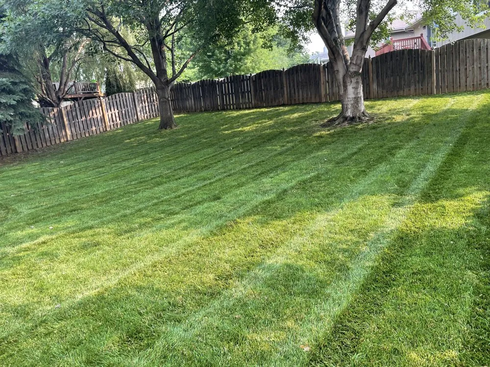 Affordable yard maintenance experts serving Omaha, NE - Outerbridge Lawn & Maintenance