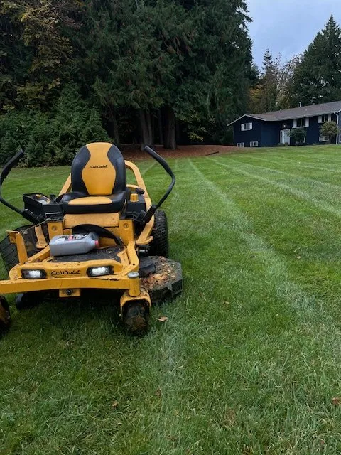 Reliable landscape design for year-round maintenance in Belfair, WA by Outerland Landscaping