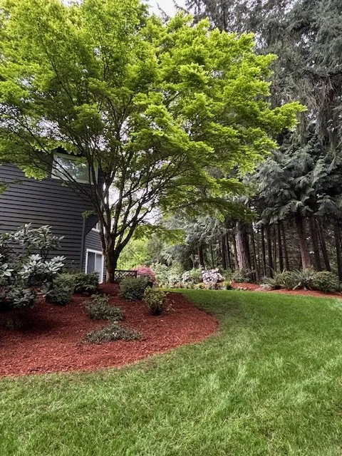 Trusted landscaping services in Belfair, WA - Outerland Landscaping