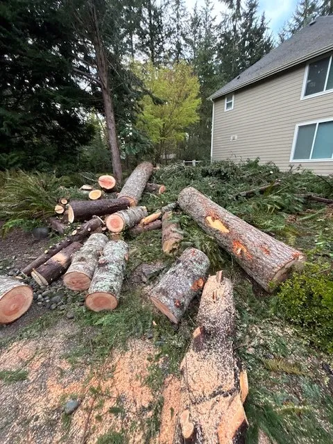 Trusted lawn mowing service for year-round maintenance in Belfair, WA by Outerland Landscaping