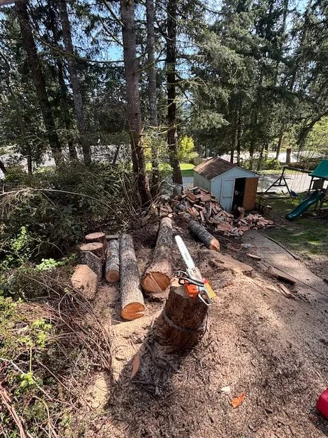 Trusted yard cleanup service experts serving Belfair, WA - Outerland Landscaping