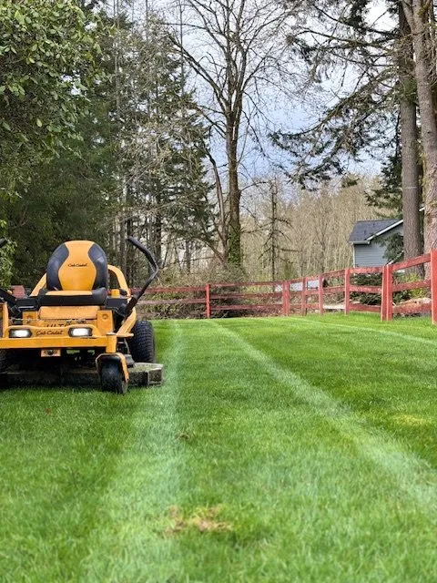 Top-rated landscaping services in Belfair, WA - Outerland Landscaping