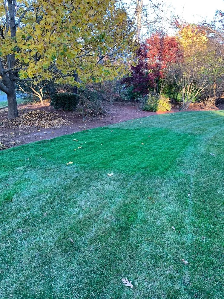 Top-rated garden landscaping in Mashpee, MA - Outerland