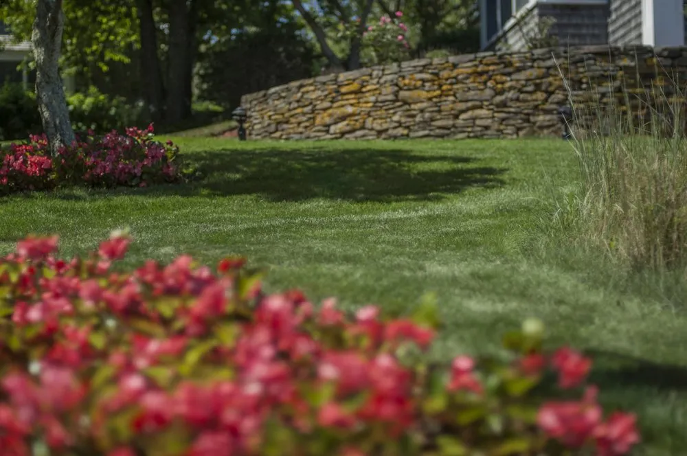 Professional yard cleanup service for year-round maintenance in Mashpee, MA by Outerland