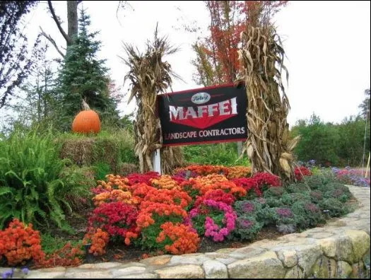 Trusted yard cleanup service for residential properties across Mashpee, MA - Outerland