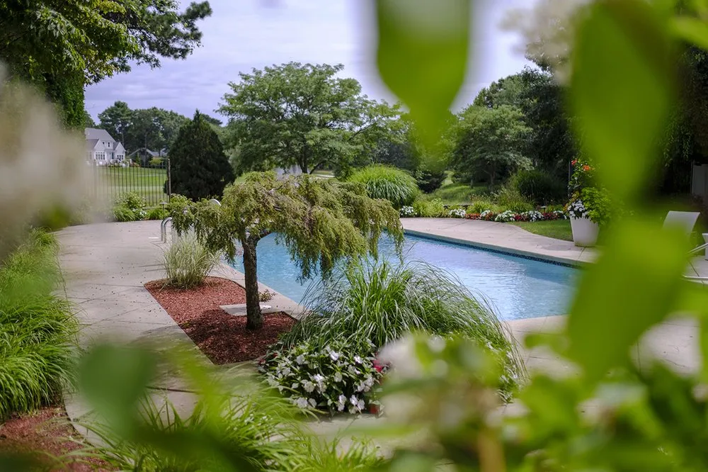 Professional yard cleanup service in Mashpee, MA - Outerland