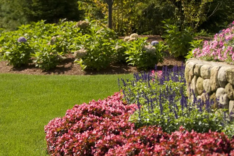 Top-rated yard maintenance in Mashpee, MA - Outerland