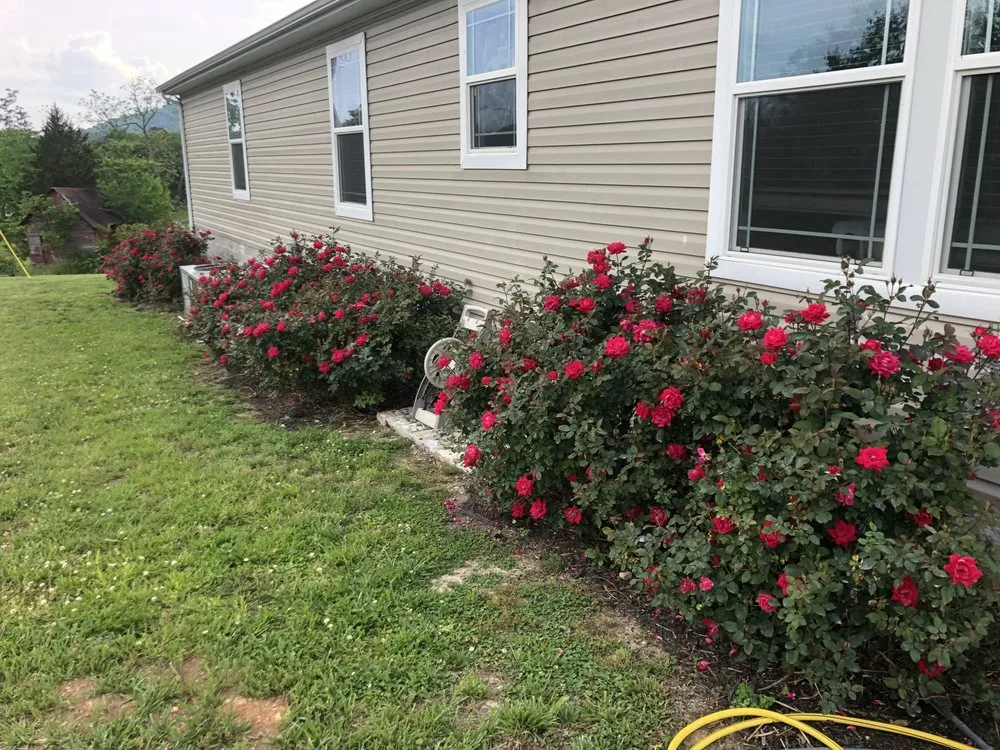 Reliable yard maintenance in Tazewell, TN by OuterScapes