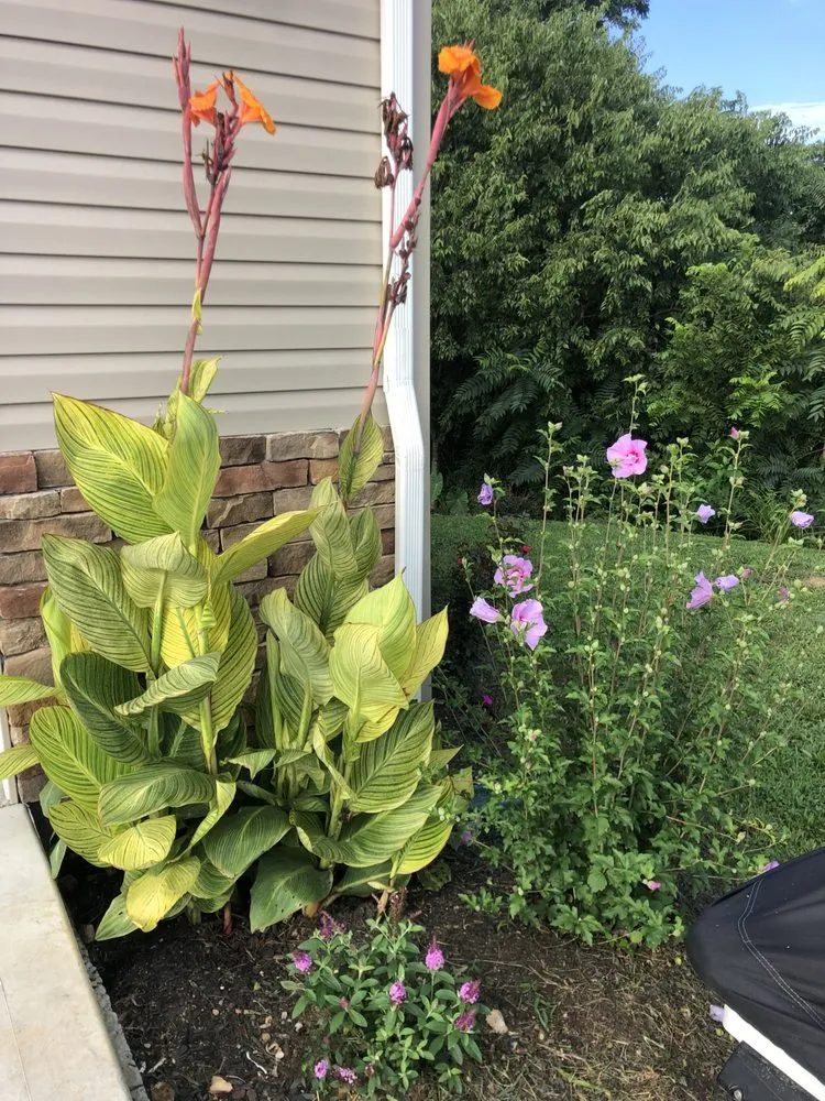 Local yard maintenance in Tazewell, TN by OuterScapes