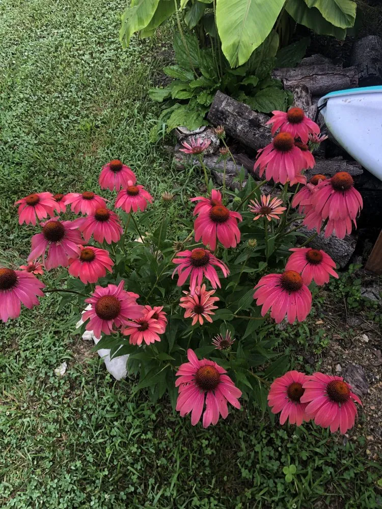 Custom outdoor landscaping in Tazewell, TN by OuterScapes