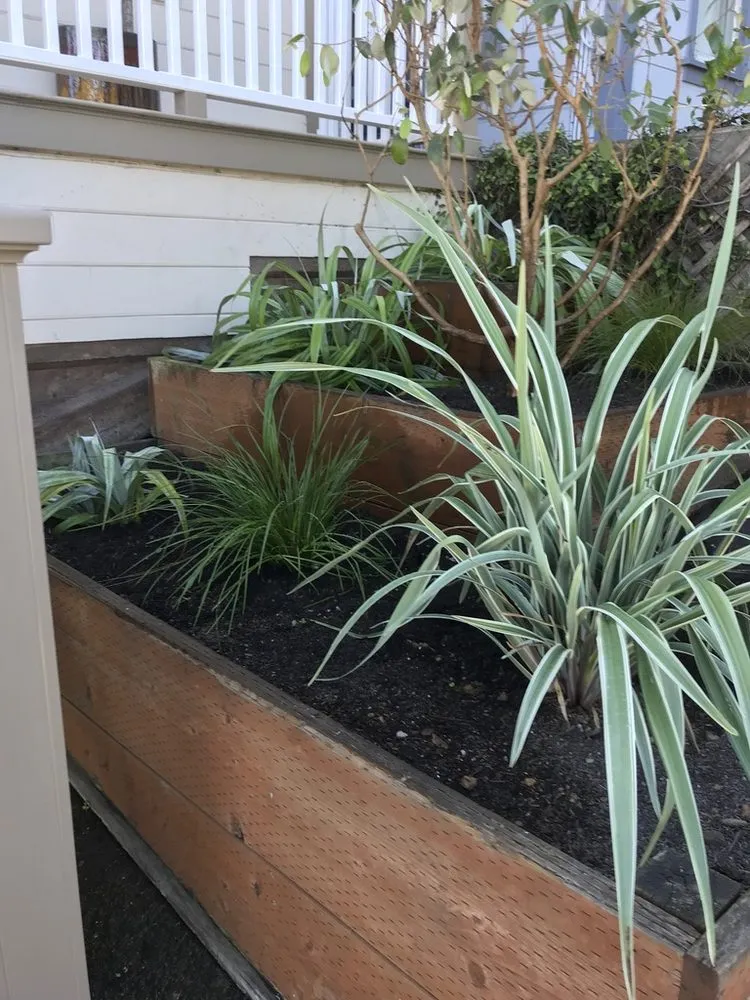 Custom landscape installation with custom design across San Francisco, CA - Outerspaces