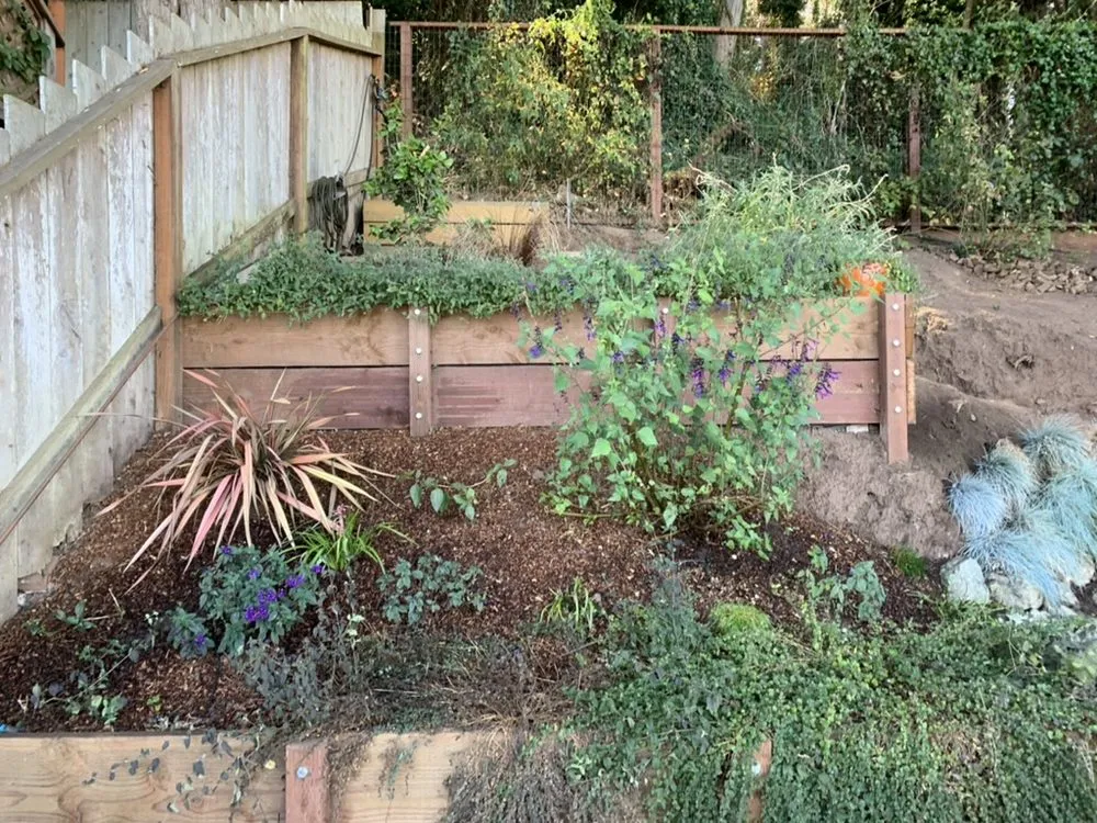 Reliable lawn care service experts serving San Francisco, CA - Outerspaces