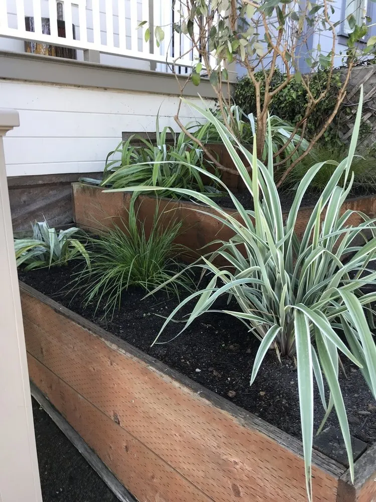 Professional yard cleanup service experts serving San Francisco, CA - Outerspaces