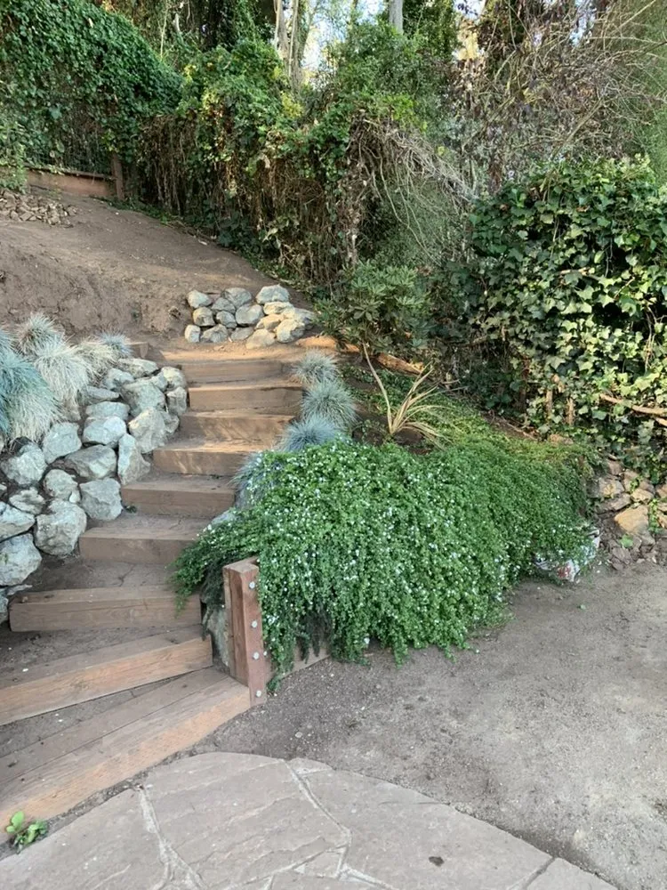 Reliable landscaping services experts serving San Francisco, CA - Outerspaces