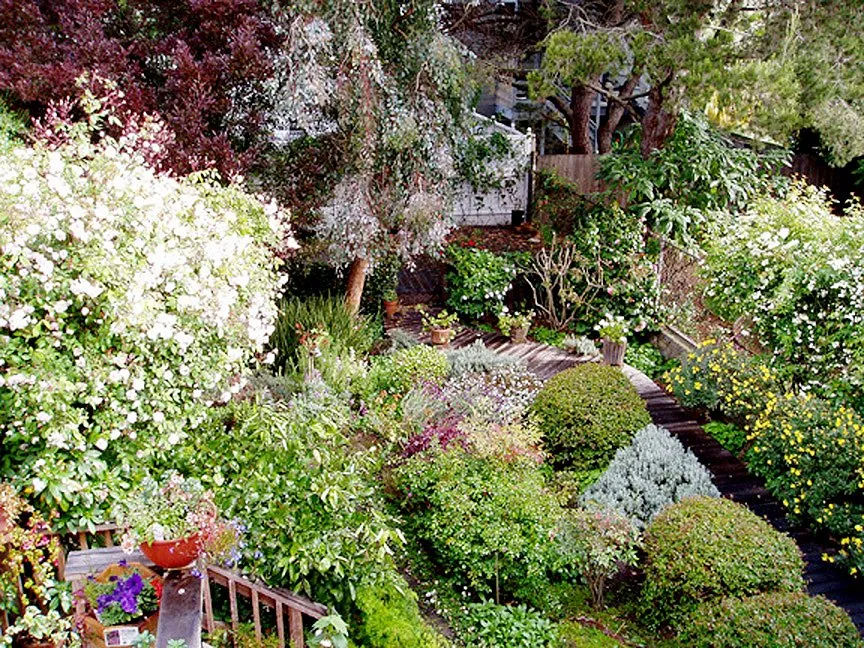 Custom lawn care service in San Francisco, CA by Outerspaces