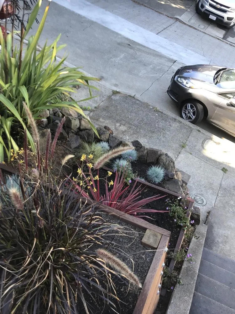 Local lawn care service in San Francisco, CA - Outerspaces