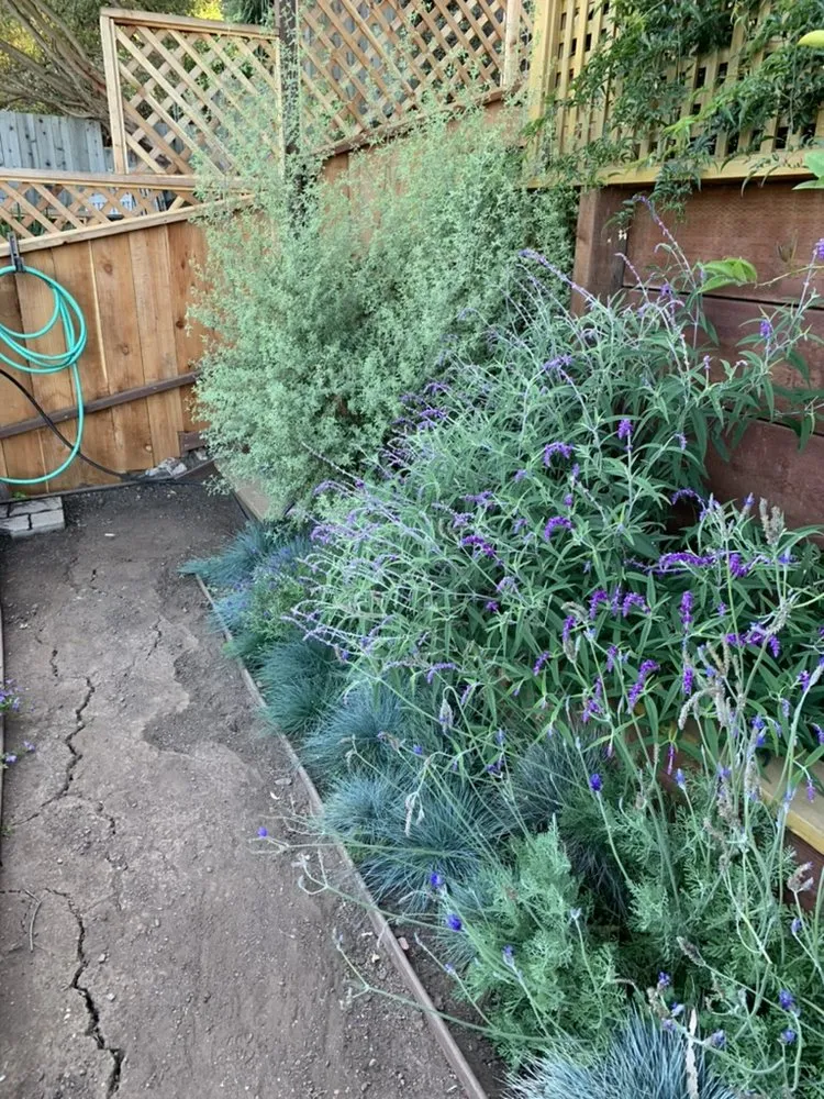 Local residential landscaping with custom design across San Francisco, CA - Outerspaces