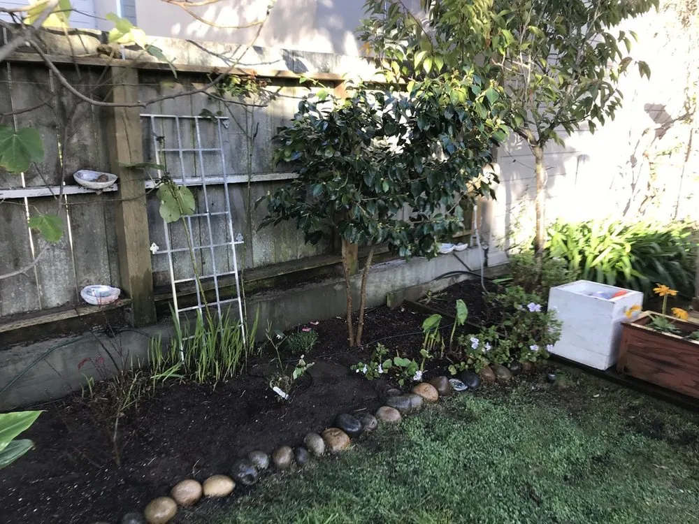 Top-rated yard maintenance in San Francisco, CA - Outerspaces
