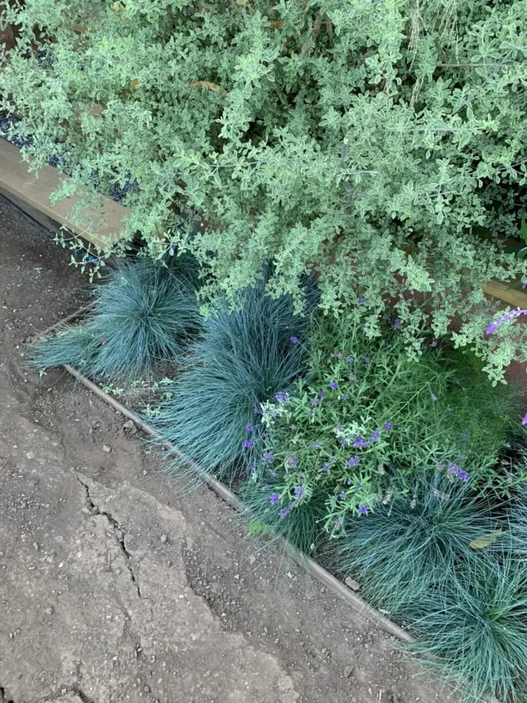 Professional residential landscaping experts serving San Francisco, CA - Outerspaces