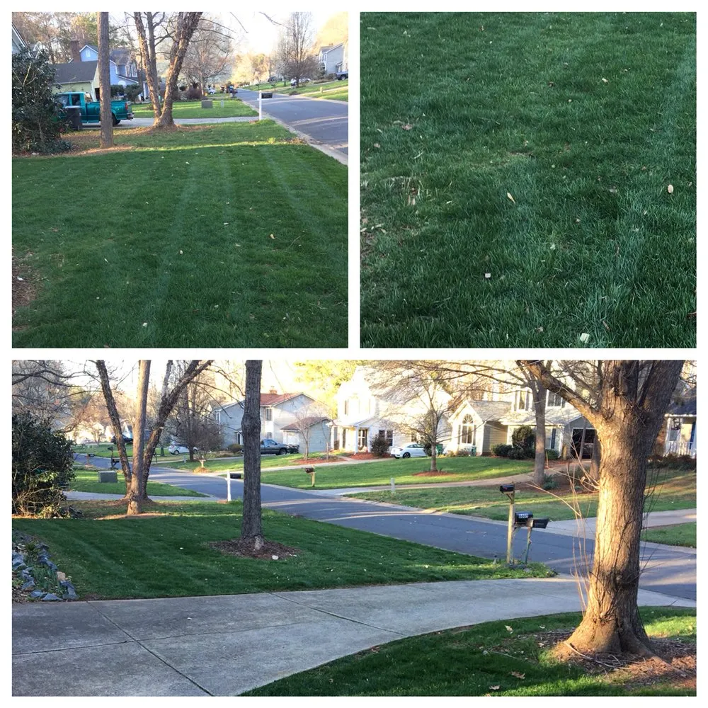 Local landscaping services for beautiful yards across Charlotte, NC - Outing's Landscaping & Property Maintenance