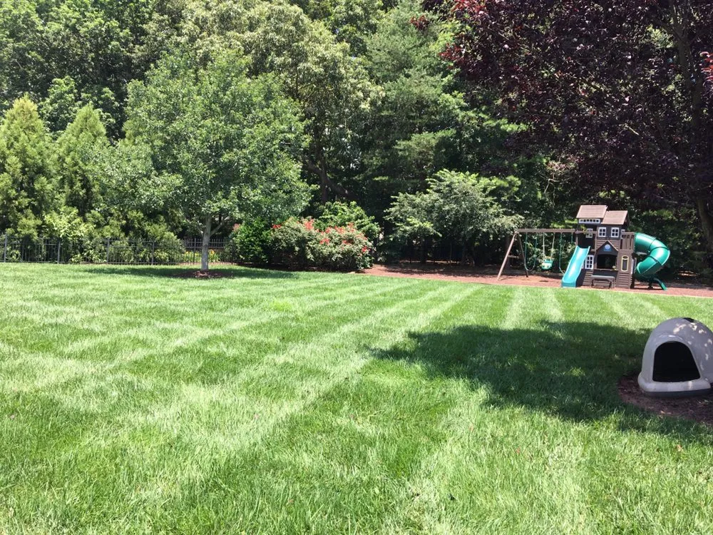 Professional landscape installation for year-round maintenance in Charlotte, NC by Outing's Landscaping & Property Maintenance