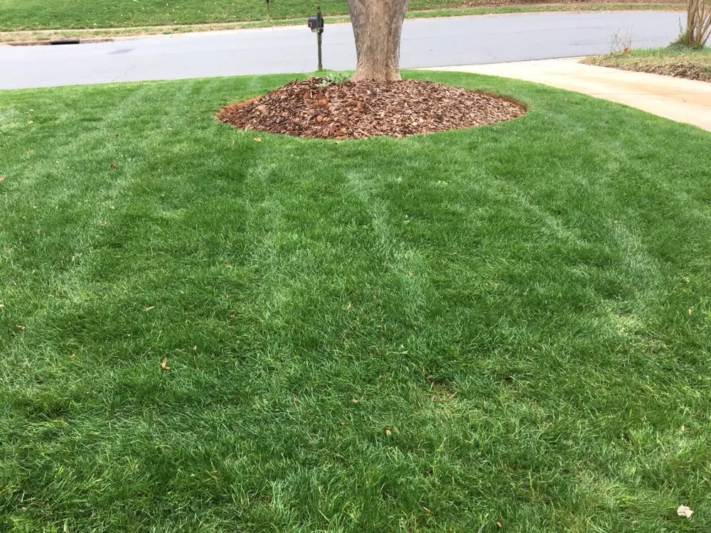 Local garden landscaping experts serving Charlotte, NC - Outing's Landscaping & Property Maintenance