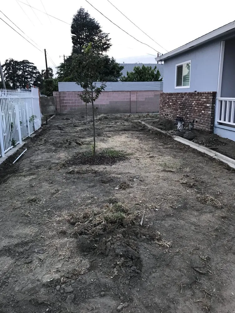 Expert lawn care service in Monrovia, CA - Outlandish Design-Build