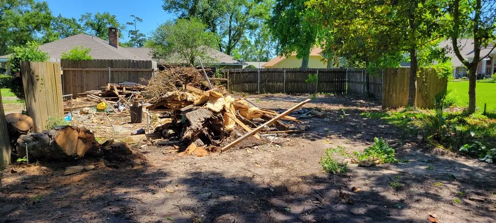 Affordable landscape design for homes across Vidor, TX - Outlast