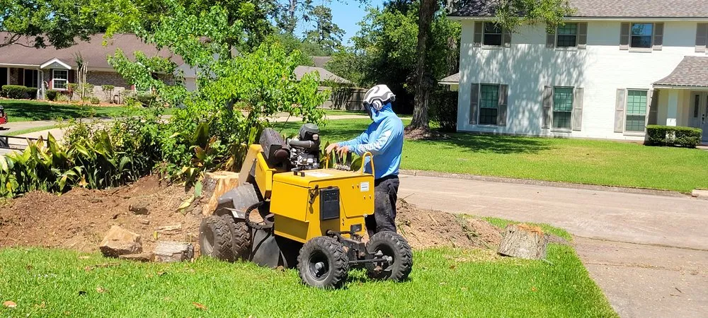 Expert lawn mowing service in Vidor, TX by Outlast