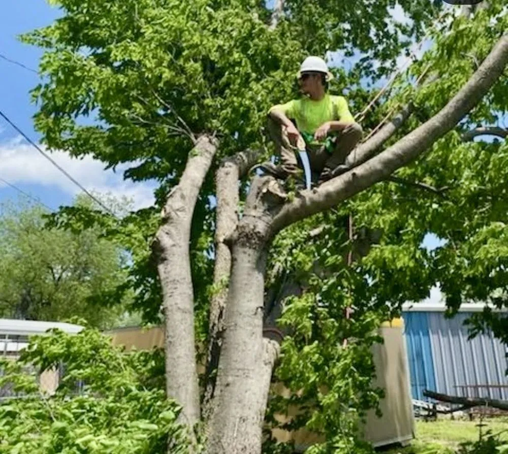 Professional landscape installation with custom design in Ada, OK by Outlaw Barkitecture