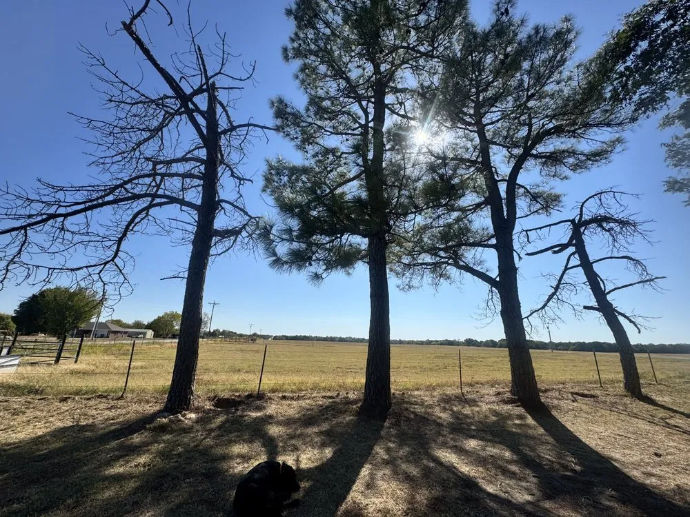 Professional landscape design for beautiful yards in Ada, OK by Outlaw Barkitecture