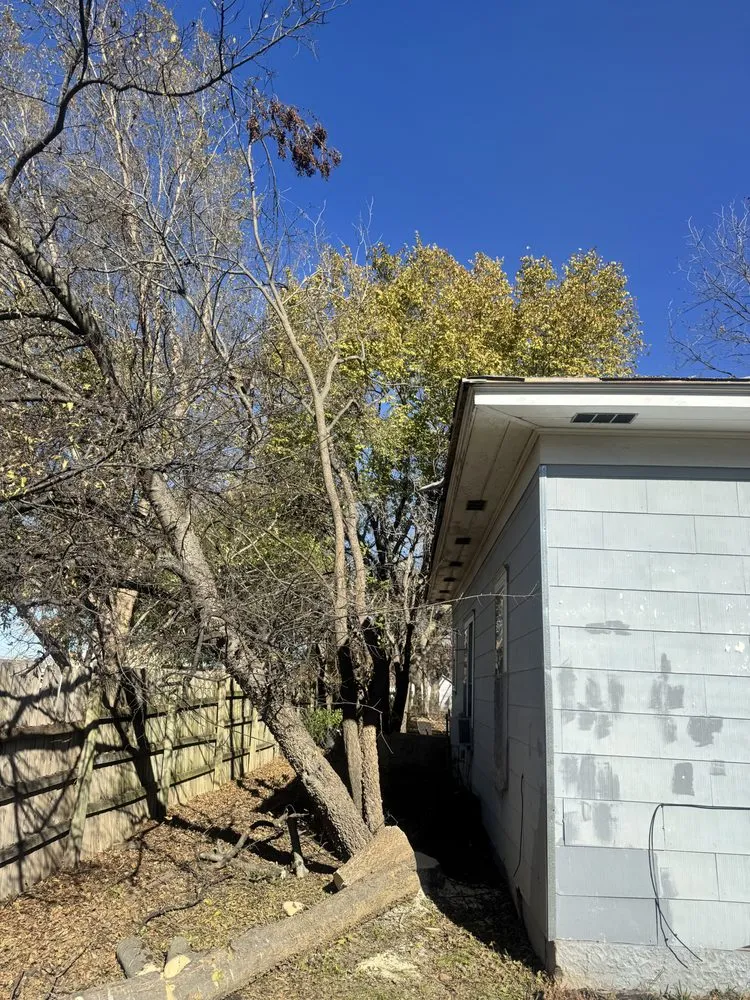 Local lawn care service experts serving Ada, OK - Outlaw Barkitecture