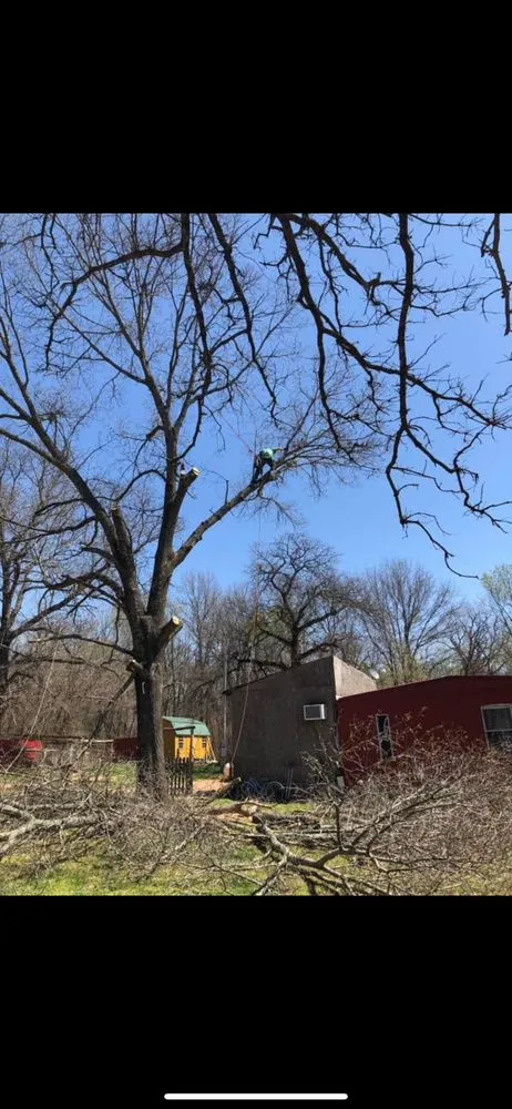 Top-rated landscape installation with custom design across Ada, OK - Outlaw Barkitecture