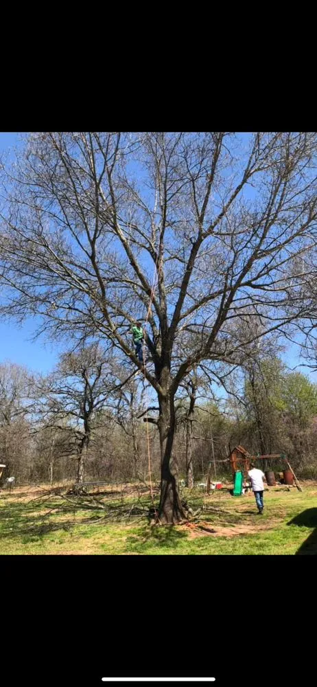 Custom landscape installation in Ada, OK - Outlaw Barkitecture