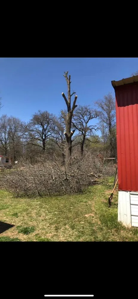 Expert yard cleanup service in Ada, OK by Outlaw Barkitecture