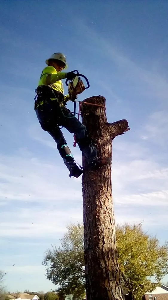 Reliable lawn mowing service for outdoor upgrades in Ada, OK by Outlaw Barkitecture