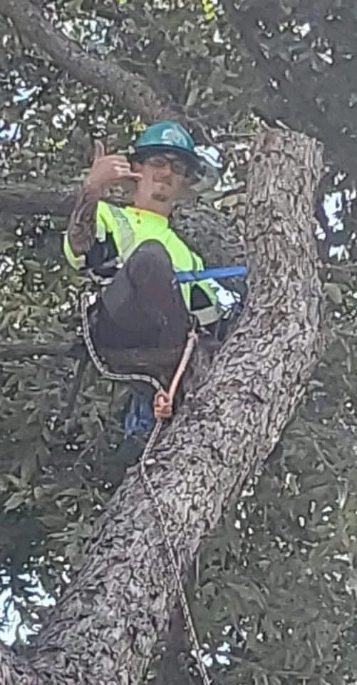 Affordable landscaping services for outdoor upgrades across Ada, OK - Outlaw Barkitecture