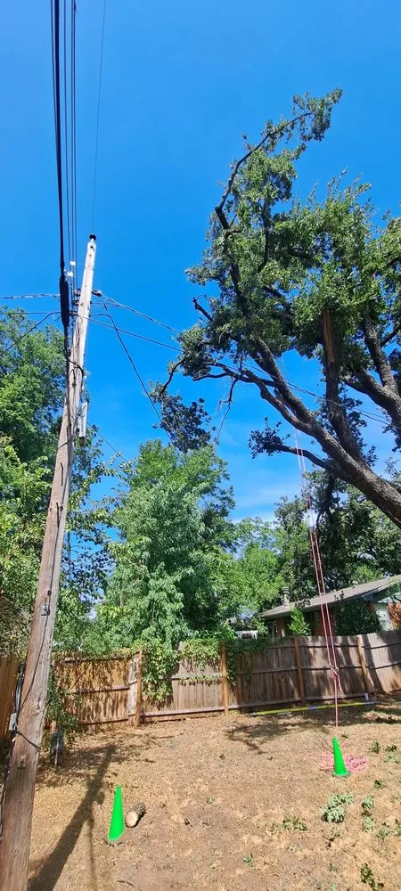 Professional residential landscaping for beautiful yards in Ada, OK by Outlaw Barkitecture