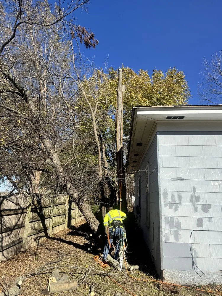 Affordable landscaping services experts serving Ada, OK - Outlaw Barkitecture