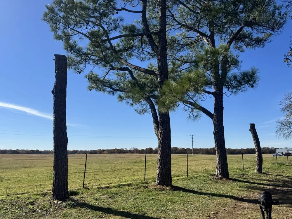 Custom garden landscaping in Ada, OK - Outlaw Barkitecture